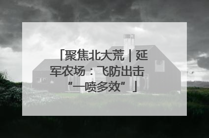 聚焦北大荒｜延军农场：飞防出击 “一喷多效”